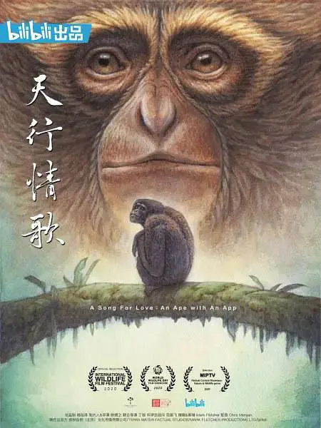 國慶雲遊祖國,怎能不看這些紀錄片 國慶雲遊祖國,怎能不看這些紀錄片