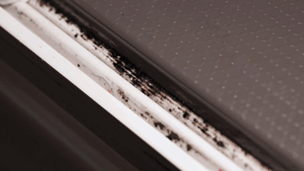 衛生間用了2年才發現，這些裝修決定很失敗，不實用還影響心情