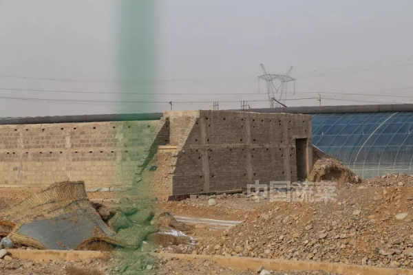 甘肅日光溫室探秘！哪種牆體和骨架最“流行”？哪種造價最划算？