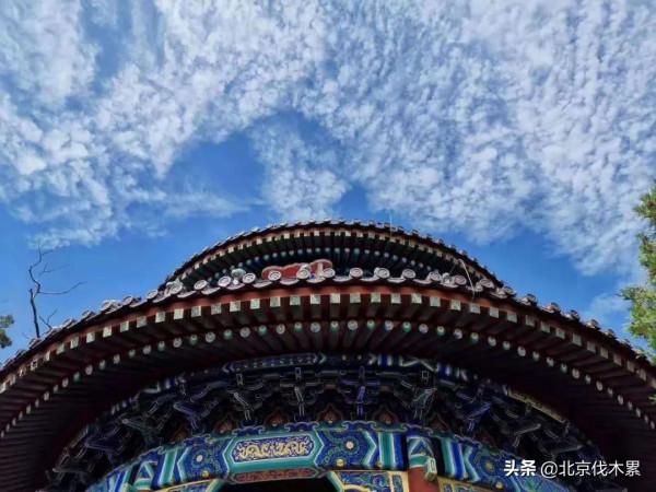 木工、茶修、插花、漢字文化體驗……國風少年成長記 木工、茶修、插花、漢字文化體驗……國風少年成長記