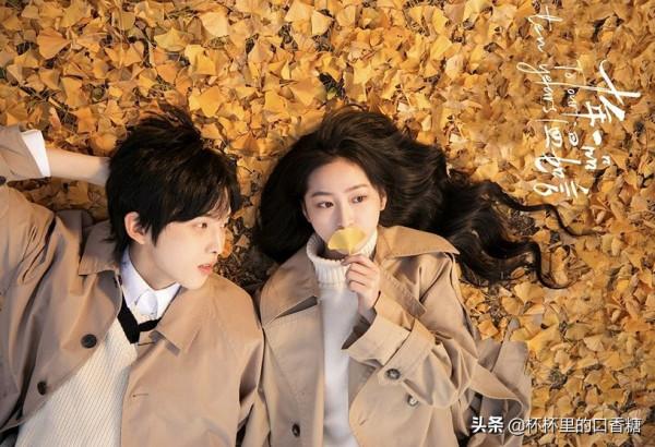 未播先火的小說改編甜劇！肖戰＆楊紫爆款預定，胡一天＆邢菲高糖