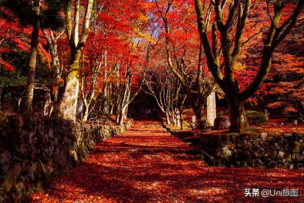 如果一生只能去一次日本,我選擇在秋天 如果一生只能去一次日本,我選擇在秋天