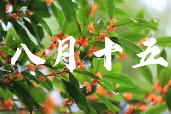 天氣預報,今天八月十五,晴天好還是下雨好呢?看看老祖宗怎麼說 天氣預報,今天八月十五,晴天好還是下雨好呢?看看老祖宗怎麼說