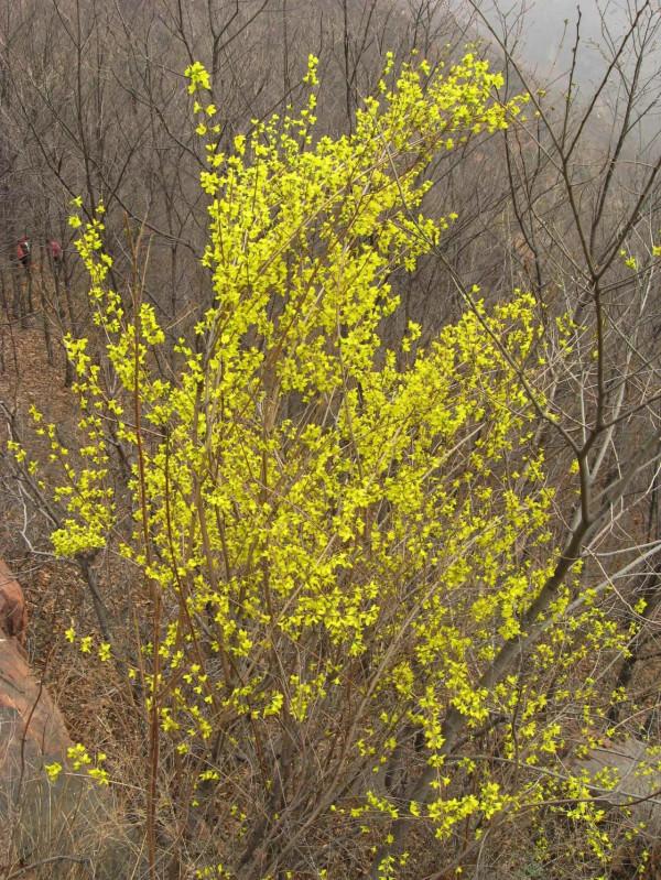 我的驢行日記&mdash;&mdash;禹西大鴻寨主峰