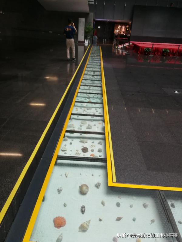 開啟廣東博物館之旅,首個重量級場館,是一堆美麗的會說話的石頭 開啟廣東博物館之旅,首個重量級場館,是一堆美麗的會說話的石頭