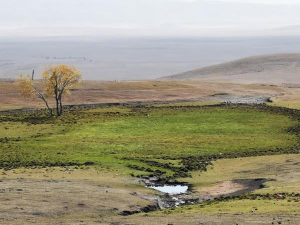 中秋、國慶20天12300公里自駕新疆南北（之六）