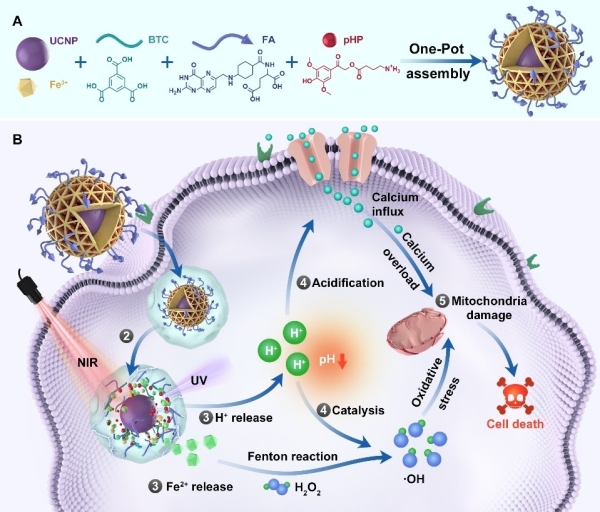中科院最新科研進展、科技動態 2021.11.5 星期五 中科院最新科研進展、科技動態 2021.11.5 星期五