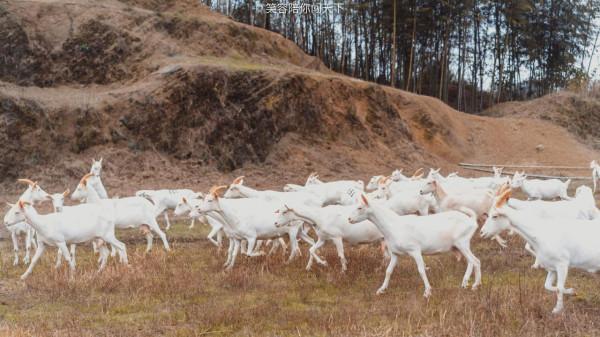 17度的建德都有啥好玩的？不妨來這6個地方，去過都說好