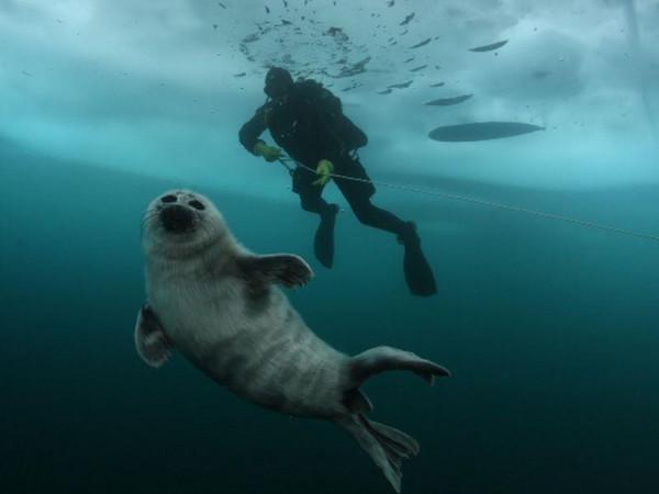 冬天去俄羅斯，才能領悟戰鬥民族的快樂