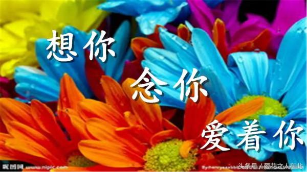 作者:一封情書 作者:一封情書