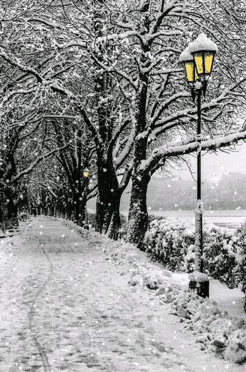 散文.雪花漫天情入誰懷 散文.雪花漫天情入誰懷