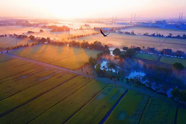 長三角這9條美麗鄉村休閒旅遊行（秋季）路線，你走過幾條？