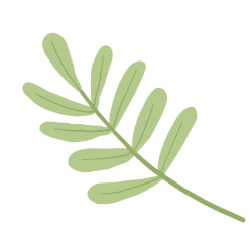 超全!京郊昌平人家門口賞景好去處,健康步道走起來 超全!京郊昌平人家門口賞景好去處,健康步道走起來