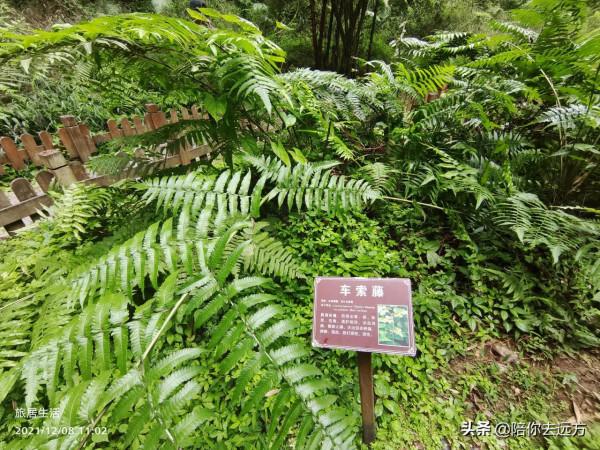 旅居D5-魅力十足百魔洞