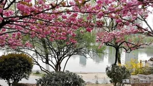 期待春天來了的時候，和你一日看盡長安花