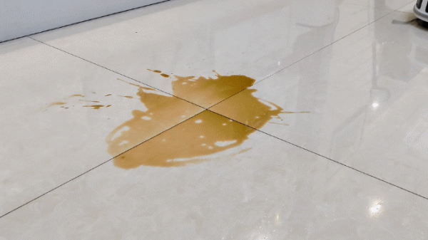 美的W11掃拖一體機效能如何，能媲美科沃斯X1 OMNI嗎？