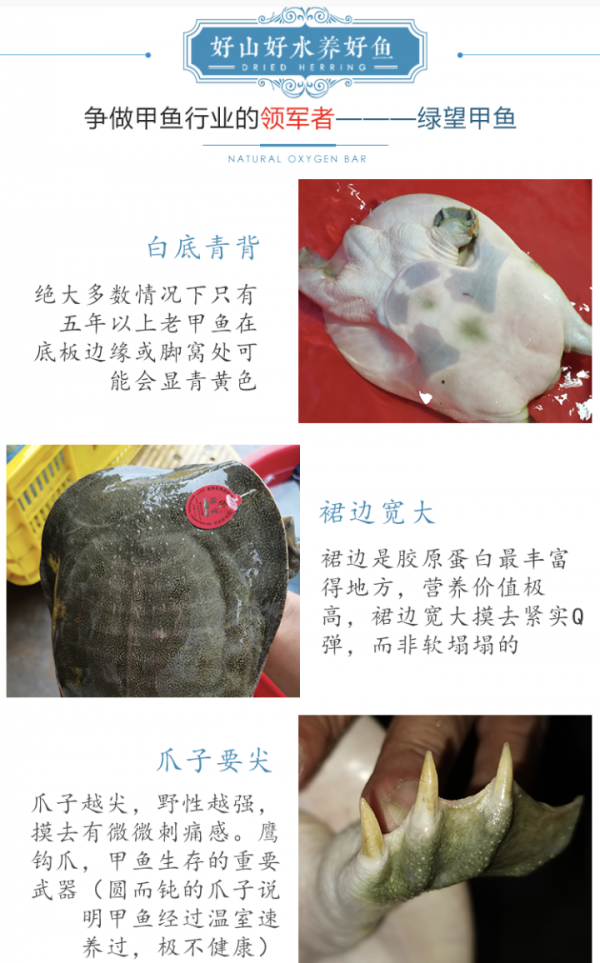 超好買!2021浙江農博會轉戰線上,這些地方金牌美味賣爆了 超好買!2021浙江農博會轉戰線上,這些地方金牌美味賣爆了