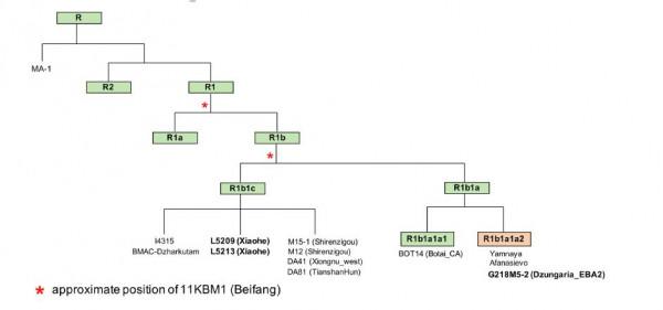 《Nature》：中國塔里木盆地青銅時代人群起源是本土的