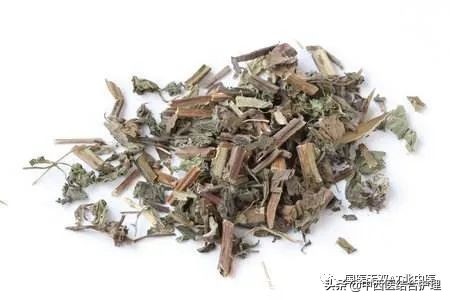 「養生有道」春季一杯代茶飲 幫您疏肝宣肺調通五臟