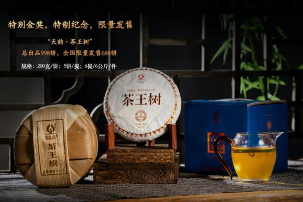 天韻·茶王樹｜集冰島古茶之大美，品賞最純粹的冰糖甜韻
