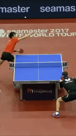 86個難得一見的照片，仙鶴踢飛老鷹，世界最早自拍，鞭腿的力量