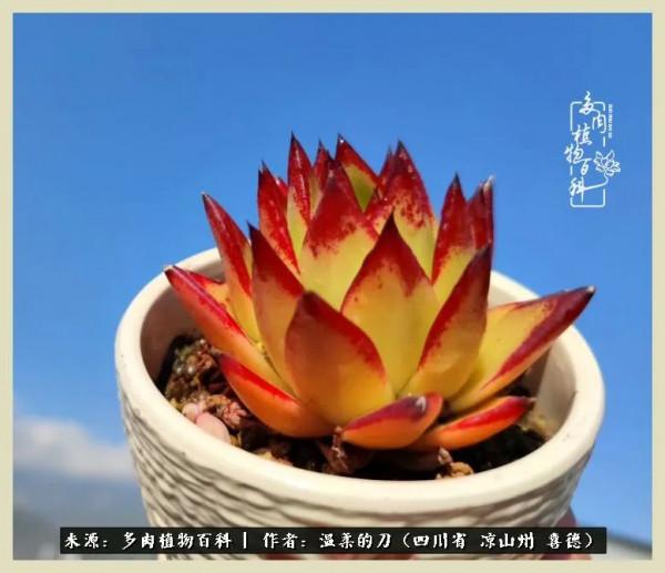 風吹過的夏天,你是仙子落凡間 風吹過的夏天,你是仙子落凡間