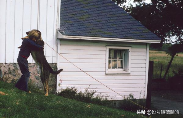 狗狗的這些行為是在告訴你一些資訊 你注意到了嗎？