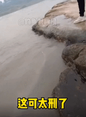 一釣魚愛好者釣到一條大魚後嚇得立馬放生,網友:這條魚我看刑 一釣魚愛好者釣到一條大魚後嚇得立馬放生,網友:這條魚我看刑