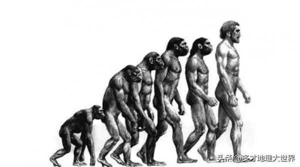 位於赤道卻有企鵝，被譽為生物進化的活博物館，這裡你瞭解嗎