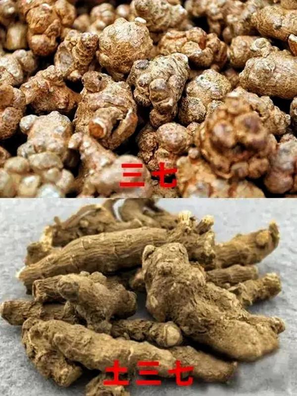 雲南珍貴的藥膳美味，不吃會後悔！藥食合一的獨特雲南味道