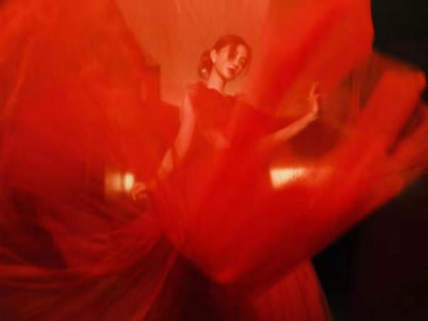 楊穎露背心形裙太豔麗，紅紗遮臉很唯美，網友：終於get到她的美