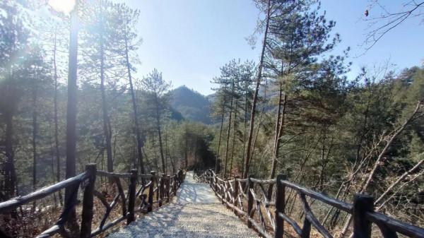 一生去過一次就足矣的古鎮——華陽古鎮