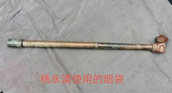 湘西巨匪楊永清落網記 湘西巨匪楊永清落網記