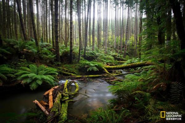 這回是雲南！《國家地理》2022全球最佳目的地