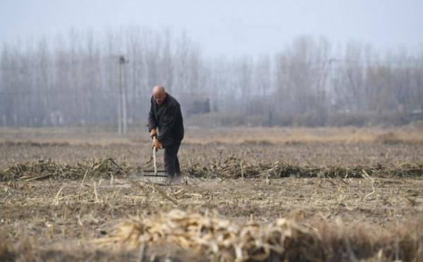 我們村的能人 我們村的能人