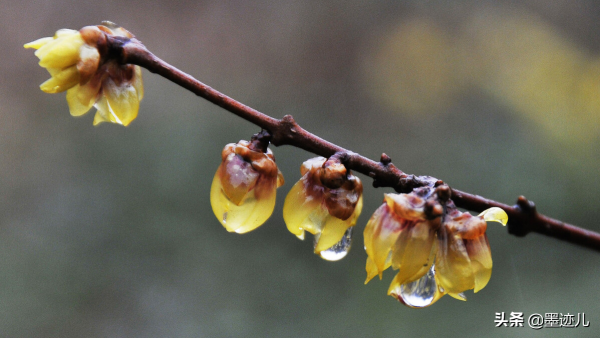有生以來,父親打她最狠的一次 有生以來,父親打她最狠的一次