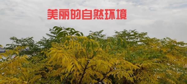 好的生態才有美麗的環境