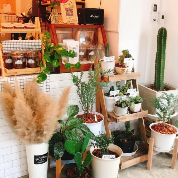 秘密咖啡館,房前的小咖啡屋,開辦家族企業的好主意 秘密咖啡館,房前的小咖啡屋,開辦家族企業的好主意