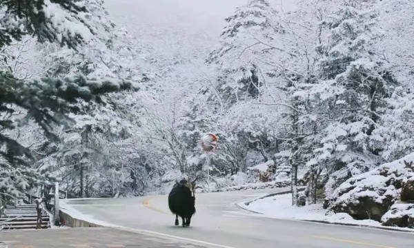 四川人看藍冰奇觀,不用再去貝加爾湖了,就在川西這個免費冷門地 四川人看藍冰奇觀,不用再去貝加爾湖了,就在川西這個免費冷門地