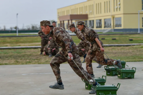 第71集團軍&OpenCurlyDoubleQuote;中野虎師&rdquo;：&OpenCurlyDoubleQuote;虎&rdquo;為榮譽名，虎氣霸屏！