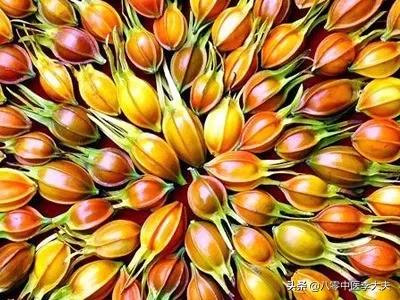 後背涼拉肚子，口舌生瘡，牙腫痛，是肝氣鬱結導致的，中醫有妙招