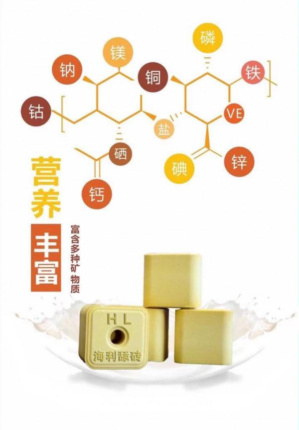又到一年驅蟲時，春季羊群驅蟲要點要掌握