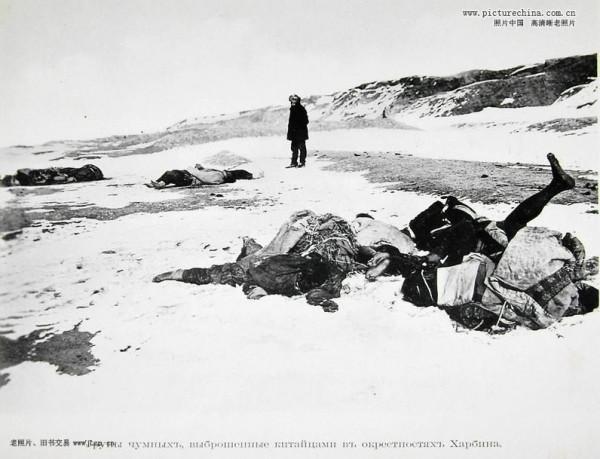 喪事喜辦！未載入史冊的滅鼠運動，早被遺忘的大鼠疫