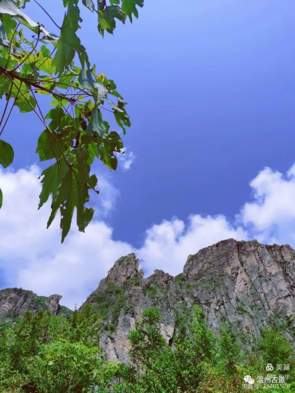 碧海天城尋石狗，“平陽的香格里拉”賞美景，這樣的線路你去過嗎