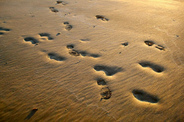 2022轉運指南，全在這篇了