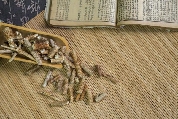 刺五加——一味可補脾、肺、腎、心的藥食同源中藥，不來了解下嗎