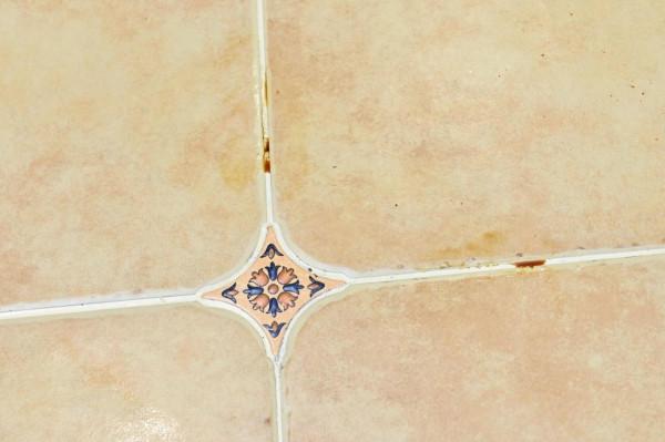 雲鯨、石頭、科沃斯?帶自清潔功能的掃拖一體機,深度對比幫你選 雲鯨、石頭、科沃斯?帶自清潔功能的掃拖一體機,深度對比幫你選