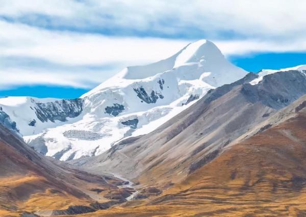 可可西里為何不允許隨意進入？帶你深度瞭解這一“人類禁區”