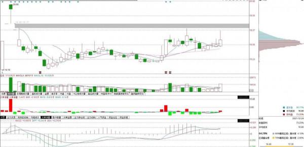 養雞概念次新股