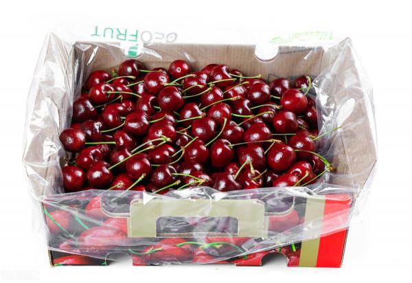 智利車釐子本季銷售再遇難題，我國對“李屬壞死環斑病毒”說不